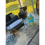 Image 2 of customer photos