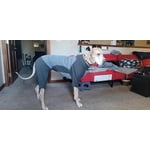 Image 2 of customer photos