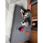 Image 1 of customer photos