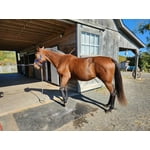 Image 3 of customer photos