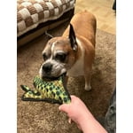 Image 1 of customer photos