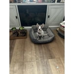 Image 1 of customer photos