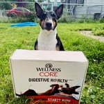 Image 5 of customer photos