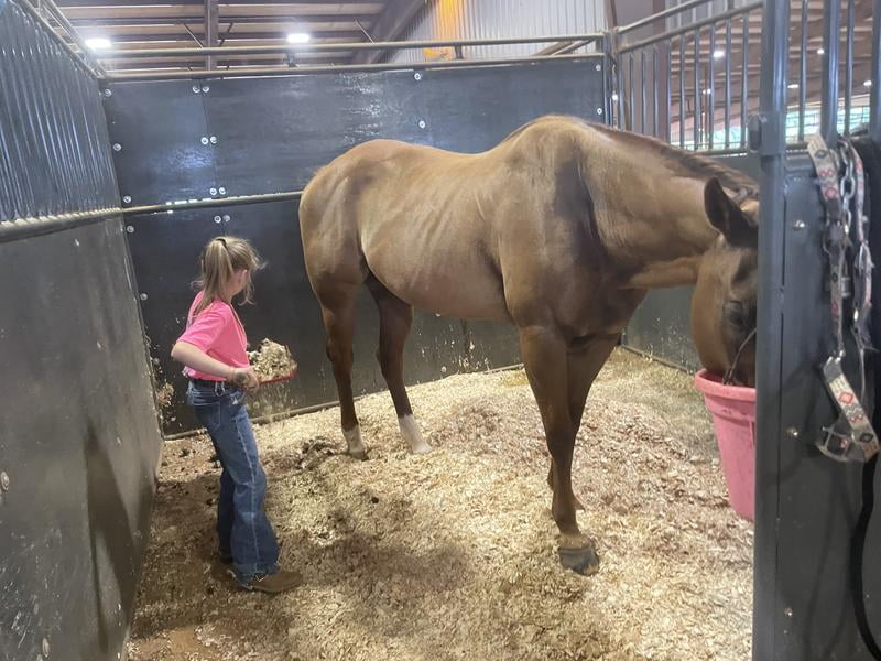 VIVALLURE senior fioccato per cavalli e pony
