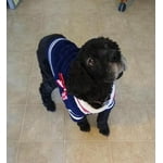 Image 1 of customer photos