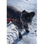 Image 7 of customer photos