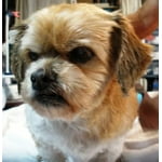 Image 1 of customer photos