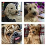 Image 2 of customer photos