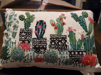Walmart top cactus pillow