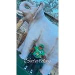 Image 1 of customer photos