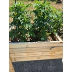 Image 6 of customer photos