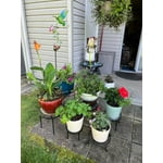 Image 4 of customer photos