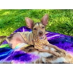 Image 5 of customer photos