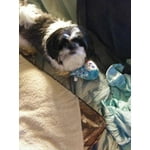 Image 3 of customer photos