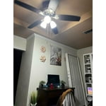Image 7 of customer photos
