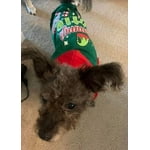 Image 5 of customer photos