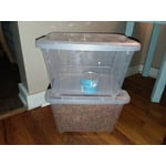 Image 7 of customer photos
