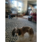 Image 5 of customer photos