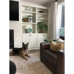 Image 4 of customer photos
