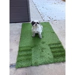 Image 4 of customer photos