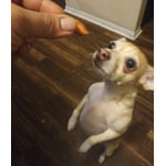 Image 3 of customer photos