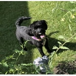 Image 5 of customer photos