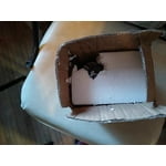 Image 3 of customer photos