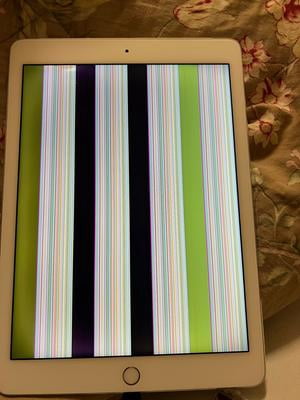 iPad Air 2 64GB Silver | Patient info tablets for hospitals