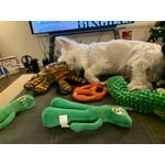 Image 1 of customer photos