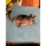 Image 2 of customer photos