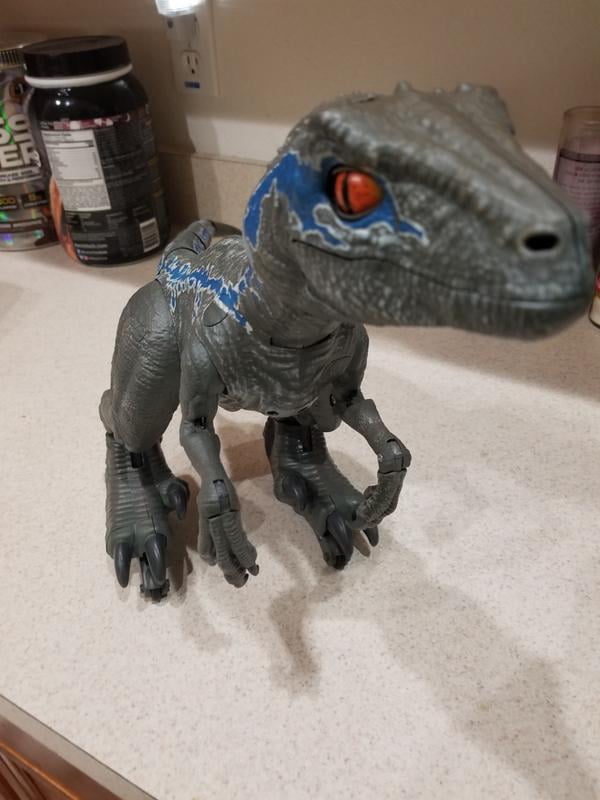 Jurassic World Alpha Training Blue Walmart Com Walmart Com Jurassic World Alpha Training Blue Walmart Com Walmart Com