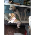 Image 4 of customer photos