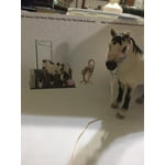 Image 5 of customer photos