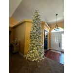 Image 3 of customer photos