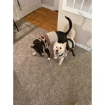 Image 1 of customer photos