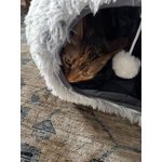 Image 5 of customer photos