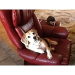 Image 2 of customer photos