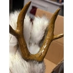 Image 5 of customer photos