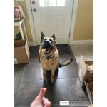 Image 2 of customer photos