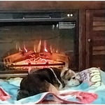 Image 4 of customer photos