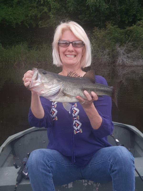 zebco bullet spincast combo