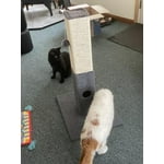 Image 4 of customer photos