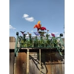 Image 4 of customer photos