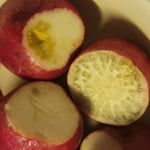 Image 6 of customer photos