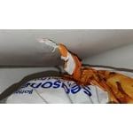 Image 6 of customer photos