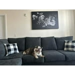 Image 3 of customer photos