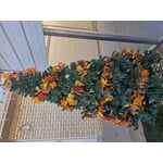 Image 7 of customer photos