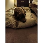 Image 4 of customer photos