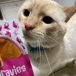 Image 7 of customer photos