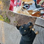 Image 4 of customer photos